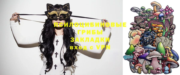 бошки Касимов