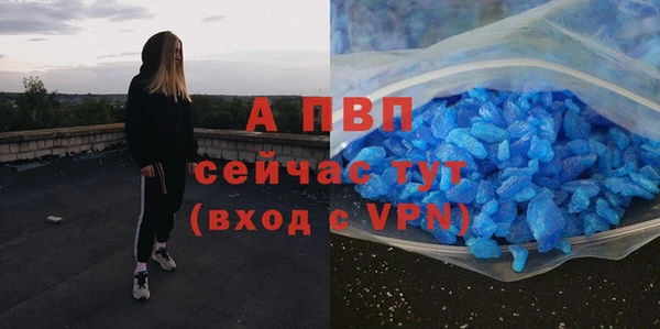 бошки Касимов