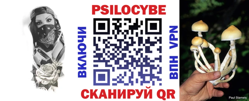 Галлюциногенные грибы MAGIC MUSHROOMS  Купить  Зеленогорск 